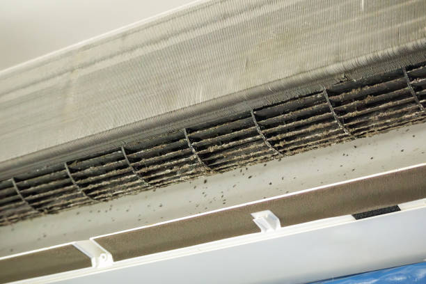 HVAC System Cleaning in VA